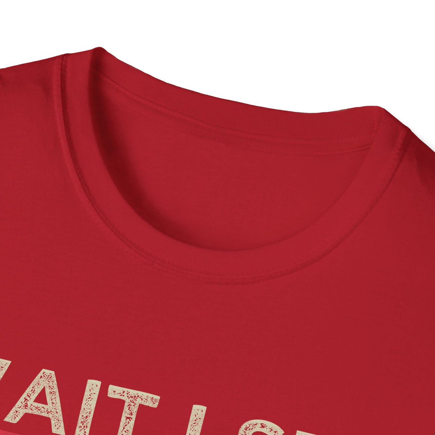 Wait I See A Rock Vintage T-Shirt