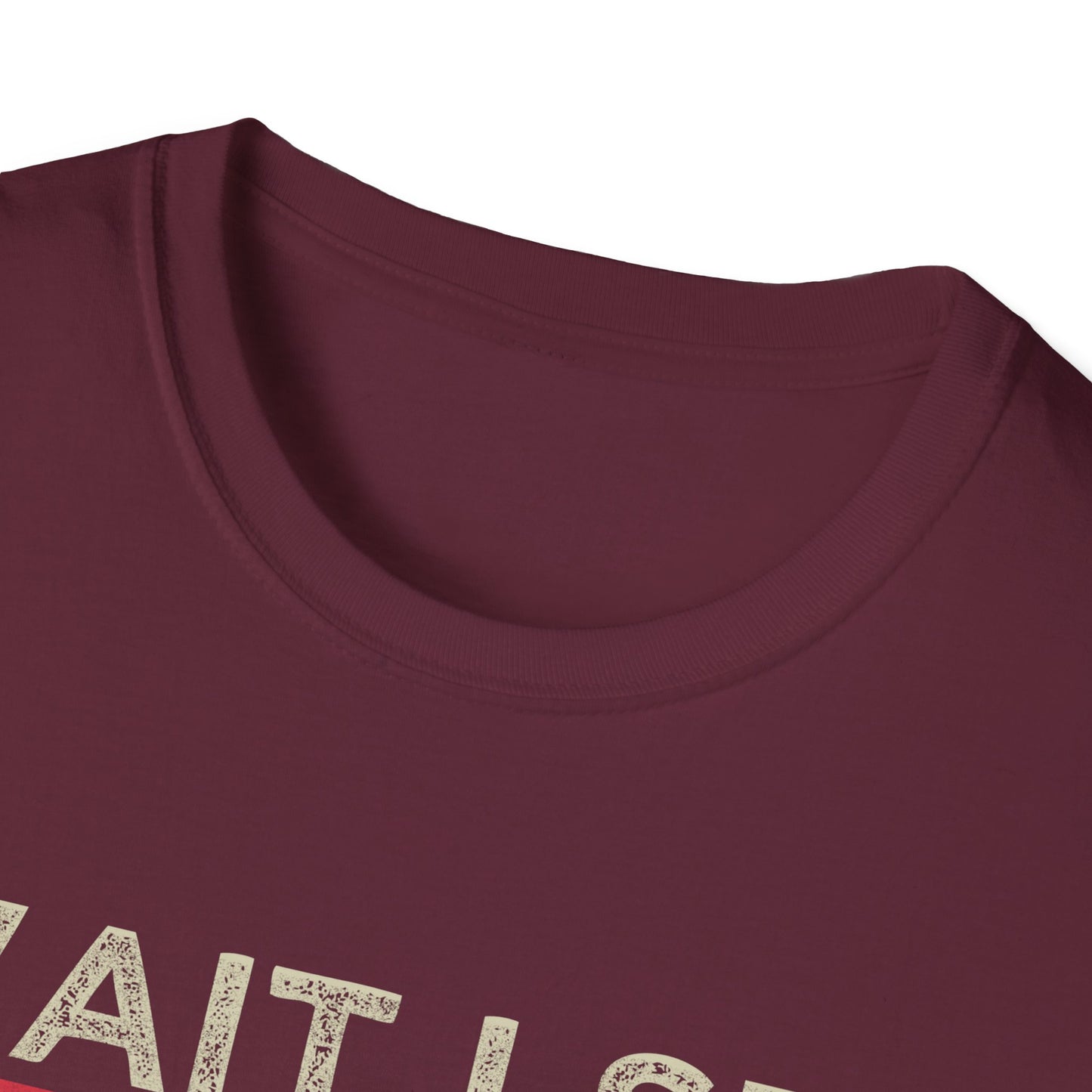 Wait I See A Rock Vintage T-Shirt