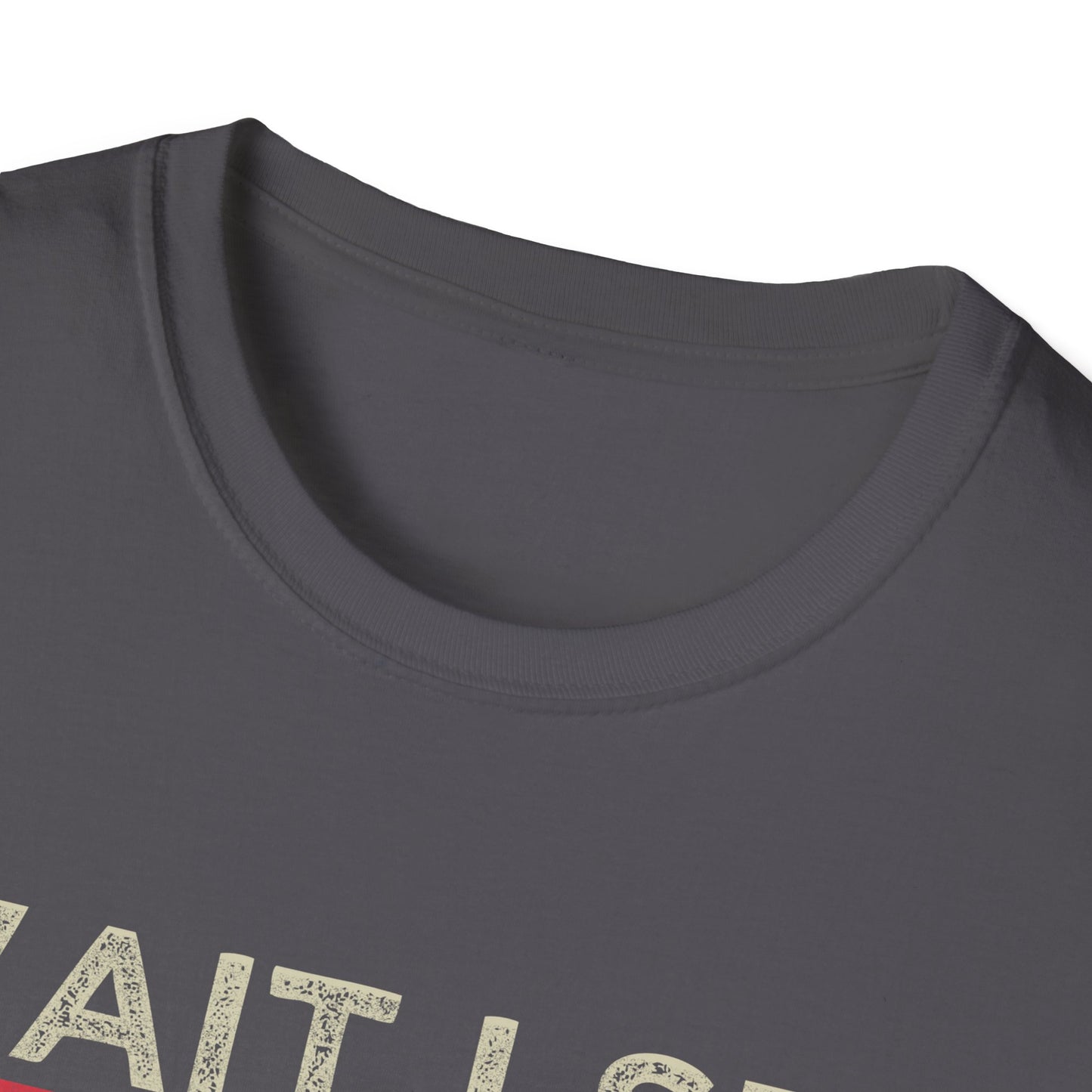 Wait I See A Rock Vintage T-Shirt